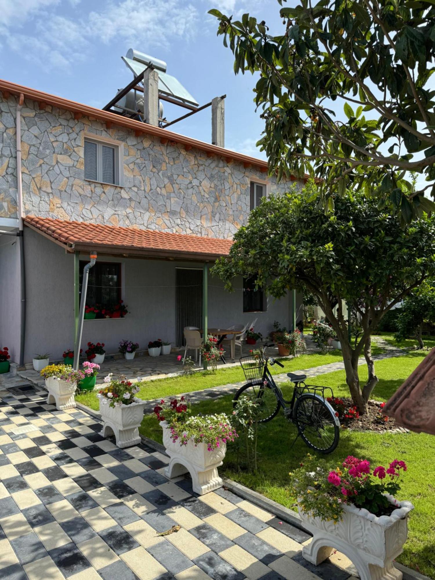 House * Lezhë